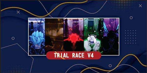 V4 Race Draco