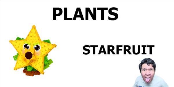 Starfruit