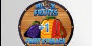 Fruit Storage | Blox Fruit