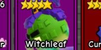 Witchleaf