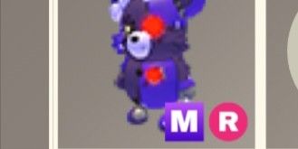 Patchy Bear Mr
