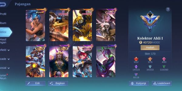 Yss CC, Valir CC, Roger & X Borg Transformer, Karina KOF, Epic & Limit Many