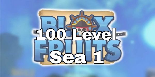 Leveling 1st Sea