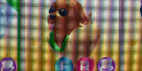 Hot Doggo fr