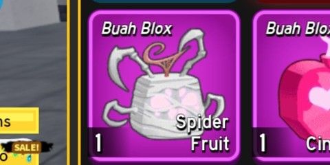 Spider