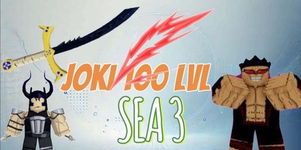 Leveling 3rd Sea