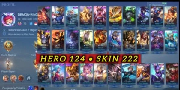AKUN MURAH SULTAN SKIN 222