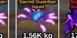Sacred Guardian Squid
