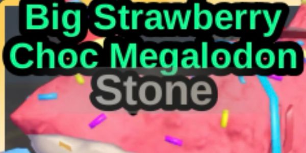 Big Stone Strawberry Choc Megalodon