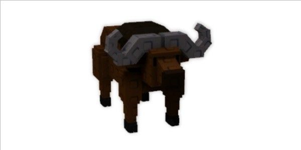 Cape Buffalo - Grow a Garden
