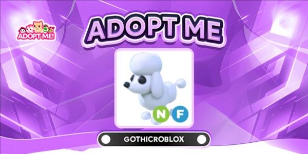 Beli Pet Poodle NF Adopt Me Trading Hub Terlengkap Dan Thumbnail 