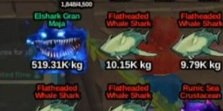 Elshark Gran Maja