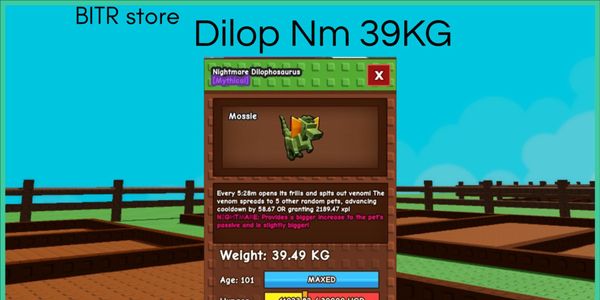 Nm Dilop 39KG