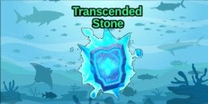 Transcended Stone
