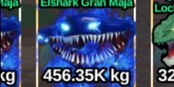 Elshark Gran Maja