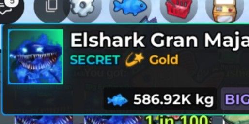 Gold Big Elshark Gran Maja