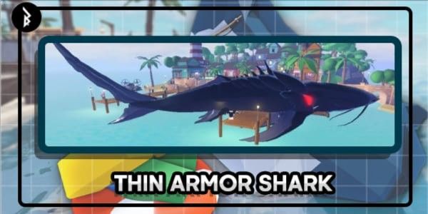 Thin Armor Shark