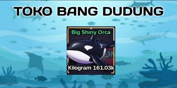 Big Orca