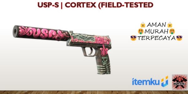 USP-S | Cortex (Field-Tested)