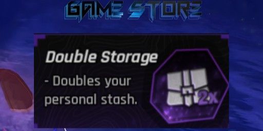 Double Storage
