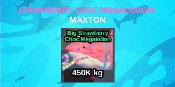 Big Strawberry Choc Megalodon MAXTON - FISH IT