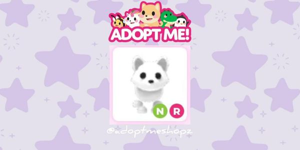 NR Arctic Fox