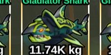 Gladiator Shark