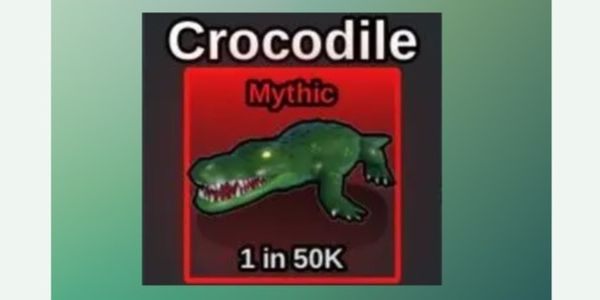 Crocodile