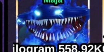 Elshark Gran Maja