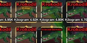 Crocodile