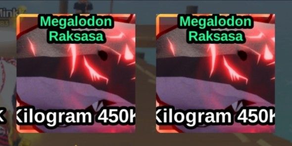 BIG MEGALODON MAXTON
