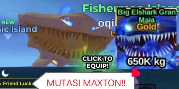 Gold Elshark Gran Maja