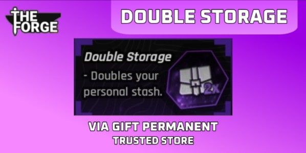 Double Storage