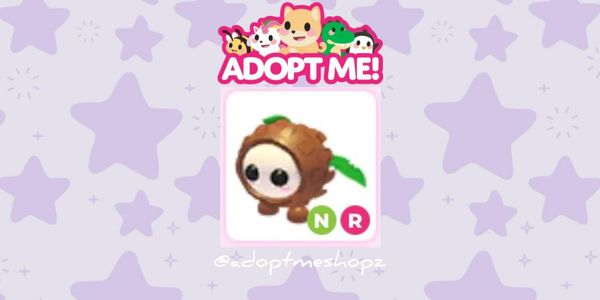 NR Coconut Friend