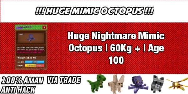 HUGE MIMIC OCTOPUS 60KG+