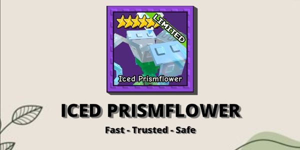 얼린 Prismflower