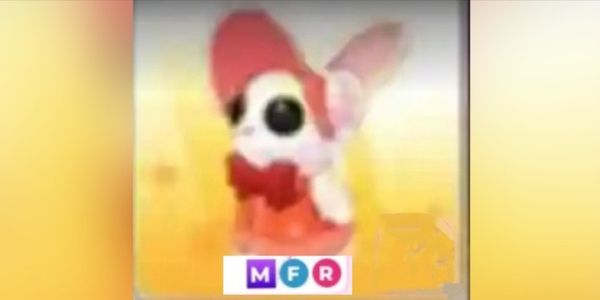mrs.whiskerpips mfr