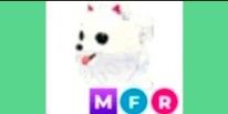 samoyed mfr