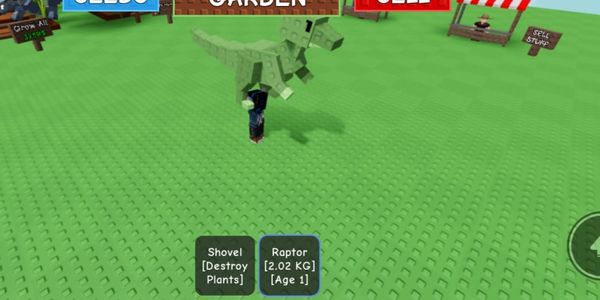 Raptor
