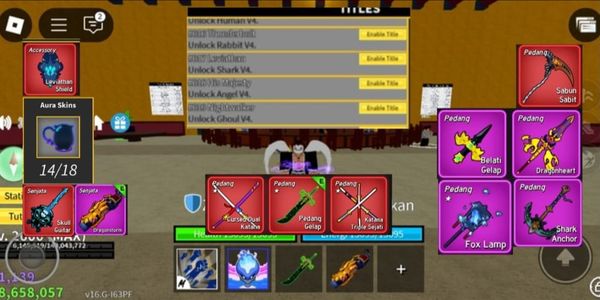 AKUN BLOX FRUIT LVL 2600 (MAX)