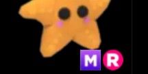 Starfish