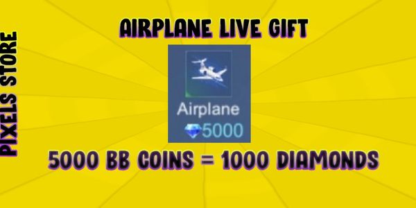 Airplane Gift