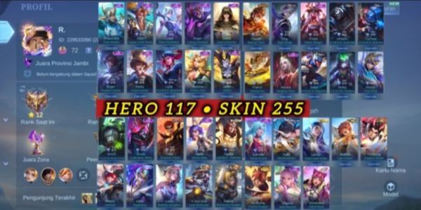 SULTAN ACCOUNT 1 ASPIRANT, 2 COLLECTOR YSS, NATA AND 255 OTHER SKIN