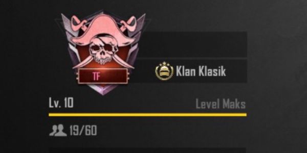 CLAN LEVEL 10 MAX