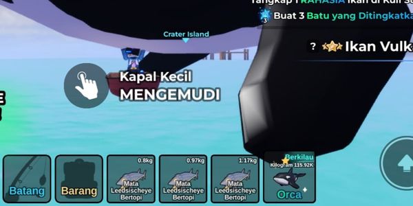 Shiny Orca