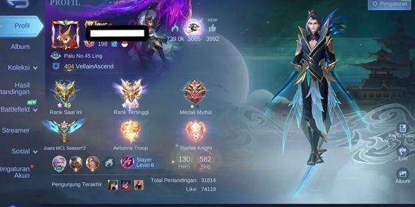 Sultan Collector Account Immortal 222 Skins 582 WR Rank 62%