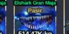 Sandy Elshark Gran Maja