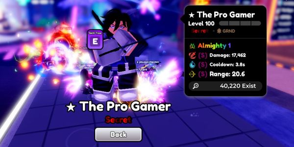 The Pro Gamer