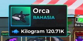 Orca