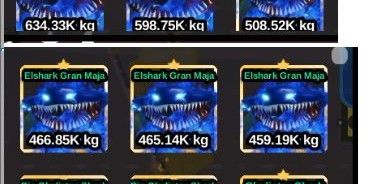 Elshark Gran Maja